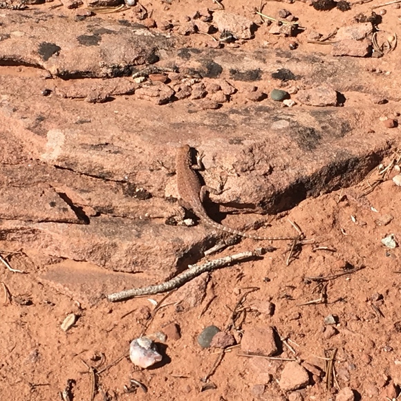 Meet your Posher - Picture 2 of 8